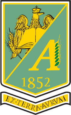program