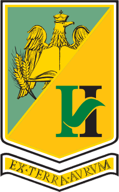 program