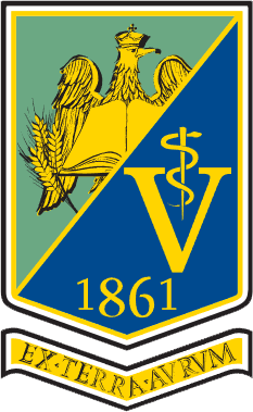 program